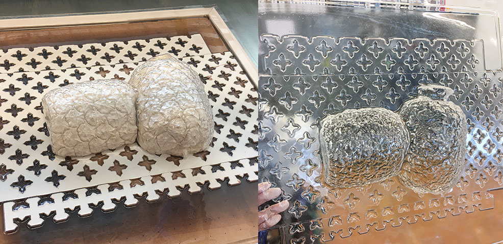 pineapple-vacuum-form pineapple-vacuum-form