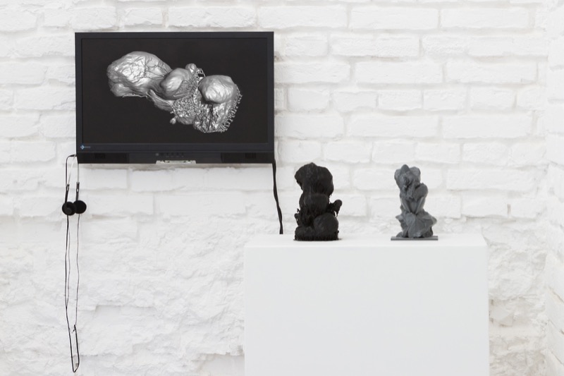 katrin_greiner_photographie_volatile_truths_ausstellung_34_1280x1920_300ppi_srgb_web katrin_greiner_photographie_volatile_truths_ausstellung_34_1280x1920_300ppi_srgb_web